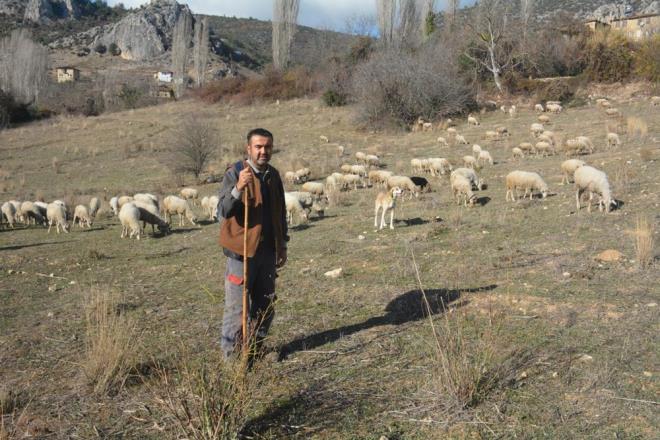 stanbul&#8217;da yaklak 20 yl yaayp, zel bir irkette yneticilik yapan Selahattin ak, geen mart aynda ortaya kan corona virsn salgnnn ardndan radikal bir karar ald.