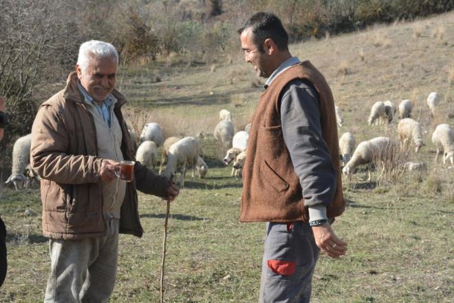 Koyunlara bakmamda annem babam da bana yardm ediyor. zellikle babam eskiden bu ilerle urat iin ben tecrbesiz olduumdan dolay bana bilgilerini aktaryor ve bu ekilde de daha iyi bir i kartmam asndan bilgilerini benimle paylayor.