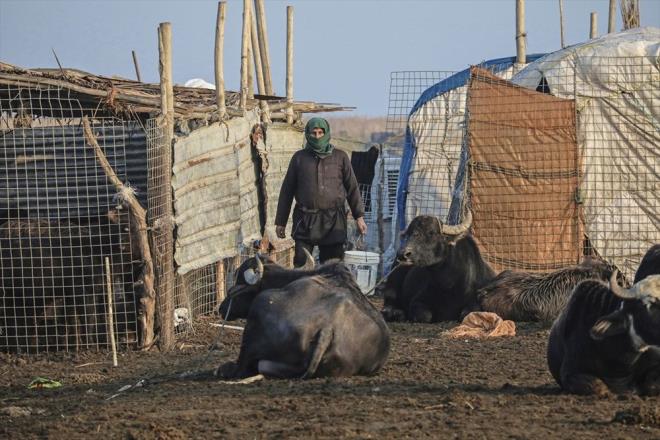 SU KENARINDAK KAMITAN EVLER  <br>  Buradaki evler lkenin geri kalannn aksine kerpi ya da kayalardan deil, su kamlarndan ina ediliyor. Bu evlerde yaayanlar, bylece hem yazn scandan hem kn souundan korunuyor.