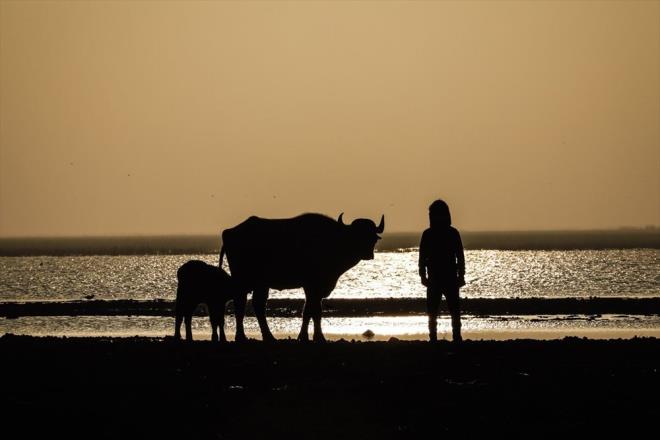 Rejimin devrildii 2003 sonras evine dnen "Bataklk Araplar" ya da "Ahvar sakinleri" diye bilinen halk, byk neme sahip blgenin mevcut hkmetlerce ihmal edilmesinden ikayeti.    Sz konusu politika nedeniyle gittike klen, Basra, Meysan ve Zikar vilayetlerinin belli ksmlarn kaplayan Bataklklar, iklim deiikliklerinden de olumsuz etkilendi.