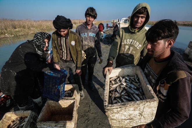 Merkezi hkmeti ve belediyeleri eletiren Esedi, blgenin kalknmas iin su, tarm ve hayvancl destekleme anlamnda doru politikalar izlenmediini dile getirdi.