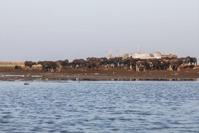 2003 sonras blge turizme alsa da lkede yaanan gvenlik sorunlar ve kentteki belediyenin ihmali, buralar bakmsz ve turiste muhta brakyor.
