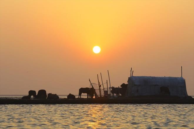 Saddam Hseyin rejimi, 8 yl sren sava srasnda ran'a komu ve yaklak 20 bin kilometrekarelik blgeye "kurutma" politikas uygulamt.    UNESCO Dnya Miras Listesi'nde yer alan Bataklklar'daki nfusun byk blm, o dnem g etmek zorunda kalmt.