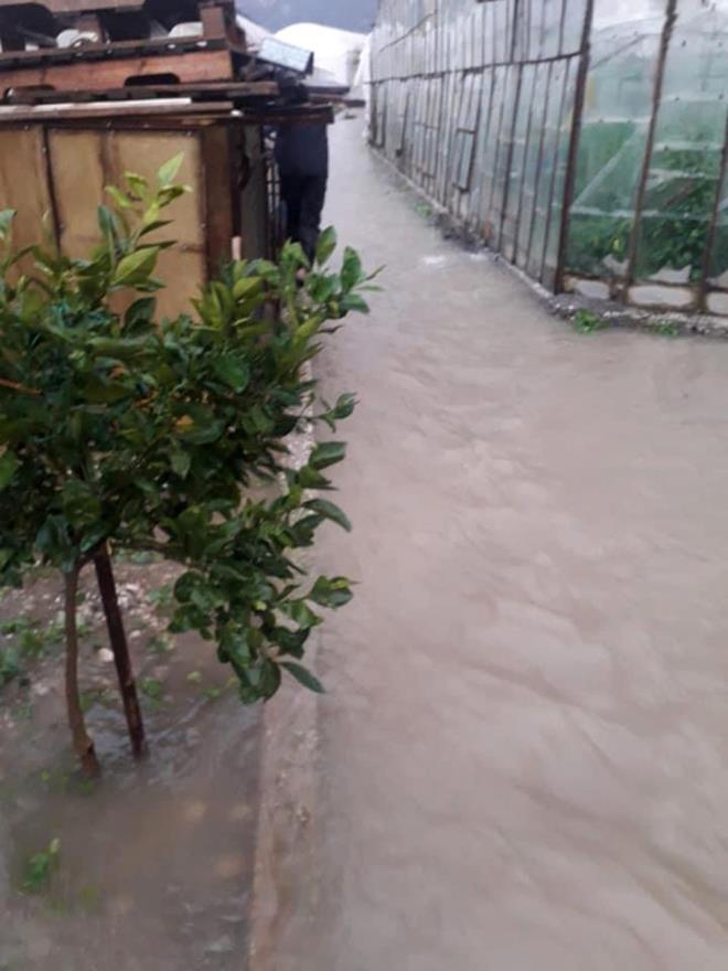 Saanak Ka ilesinde yaam olumsuz etkiledi. Knk ve Ova mahallelerinde ya sonrasnda seralarn bulunduu alanlarda su birikintileri olutu, baz seralar su bast. Su baskn nedeniyle seralardaki mahsuller zarar grd. Ka Belediyesi ekipleri blgede alma balatt.