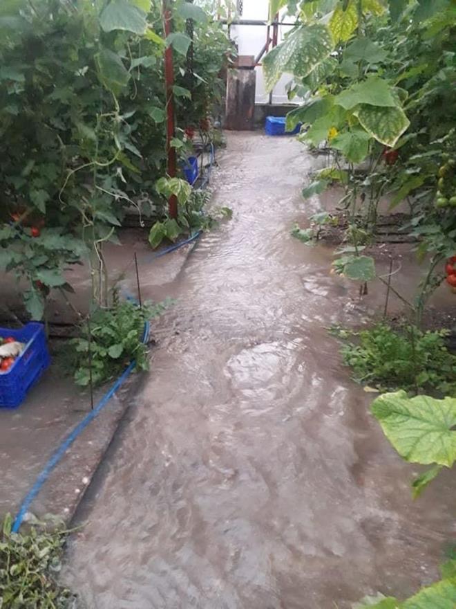 Kent merkezinde eitli binalar su basknna urarken, Demre ilesinde de baz seralar su bast.