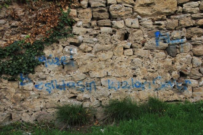 Tarihi surlara sprey boyayla yaz yazlmas kentte tepki ekiyor. Surlarn Meydankap Mahallesi Kapal Pazar Yeri arkasnda yer alan blmnde tarihin zerine yazlan ak mesajlar dikkat ekiyor. Aklarn tarihe kazmak isteyenler surlara zarar veriyor.