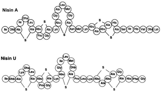 Nisin<br>  Tavsiye eden kurum: Visva-Bharati niversitesi, Hindistan  <br>  Nisin, bir bakteri tarafndan retilen ve birok konserve rnde bulunan doal bir gda koruyucusuna deniliyor. lenmi peynir, stl tatllar, st, fermente iecekler, et ve konserve yiyecekler gibi eitli rnlerde kullanlyor. Ayn zamanda E234 olarak da biliniyor ve 34 farkl amino aside ev sahiplii yapan uzun zincirli karbon atomlu bir peptitten oluuyor.    Hintli akademisyenler, nisinin koronavirse kar bir antiviral grevi grp grmediine bakt. almalar, hakem tarafndan gzden geirildi ve Virology dergisinin Ocak 2021 basksnda yaynlanmak zere kabul edildi.