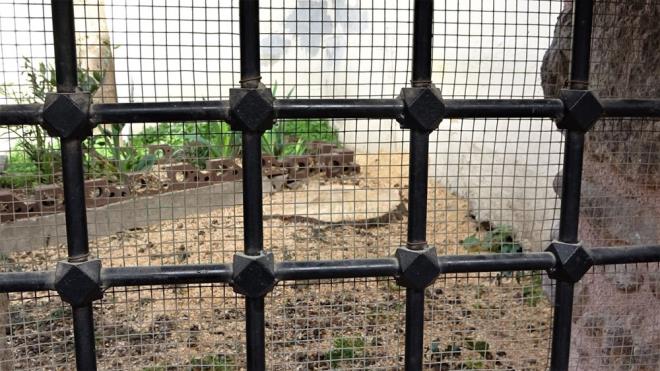 Bursa'nn Osmangazi ilesine bal Osmangazi Mahallesi Orubey Caddesi'ndeki Sat Fakih Hazretlerinin trbesinin yanndaki tarihi selvi aac kesildi.