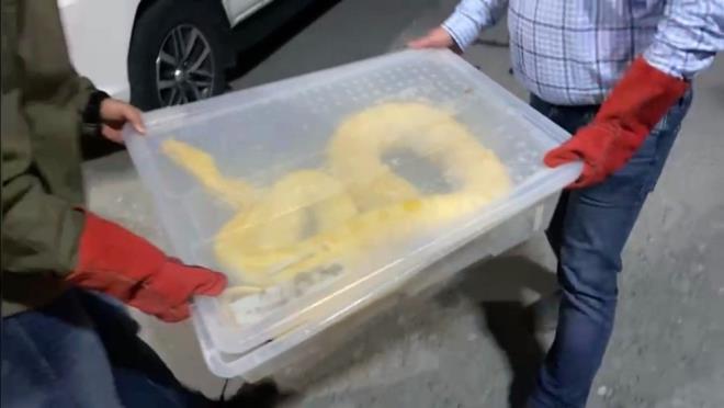 Ylan ardndan ekipler tarafndan araca konularak gtrld. Operasyon an ise kameralara yansd. Polis piton ticareti yapt belirlenen ve emniyette eitli sulardan 18 adet su kayd olan M.O.?yu yakalamak iin alma balatt.