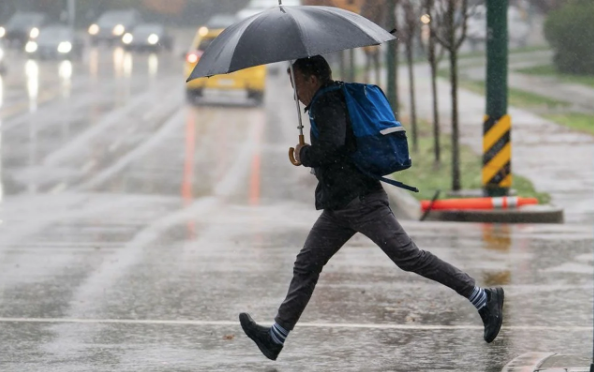 te be gnlk harital hava durumu raporu...