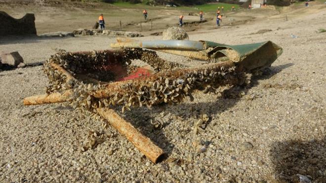 Istrancalar, Kazandere ve Papudere barajlar ise stanbul snrlarnn dnda. BB?nin yrtt temizlik almas ise sadece il snrlar iindeki 7 baraj kapsyor.