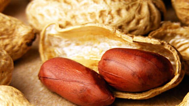 E vitamini ieriiyle yemi trleri ve yer fst tavsiye edilmektedir.