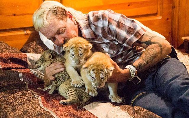 4- Tiger King - 64 milyon