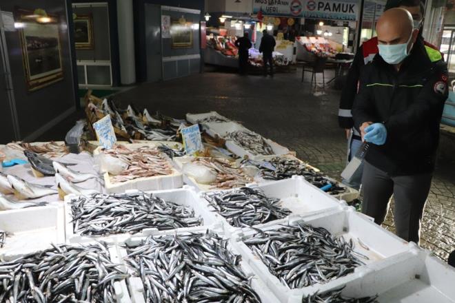 ?YASAK NCES SON HAMSLER, SONRASINDA OKLANAN HAMSLER SATILACAK?  ?Bugn son hamsileri satyoruz. Yarndan itibaren artk canl hamsi olmayacak, oklardan kan hamsiler satlmaya balanacak? diyen Perembeli balk Filiz Yazgan ise, ?Bu yasaklarn denizlere faydal olacan dnyoruz ancak deniz suyunun halen soumamas balk ve trlerini epey bir etkiliyor. Denizlerimiz de ok kirlenmeye balad. nceden kanca ile 4-5 kilo istavrit tutan insanlar, uan 3-5 tane zor tutuyor. Hamsi bugn irilik olarak biraz daha iyi. Bu kararn denizlere faydal olacan temenni ediyoruz. nsanlarn da bu konuda duyarl ve saygl olmas lazm, denizleri temiz tutmamz lazm? diye konutu.