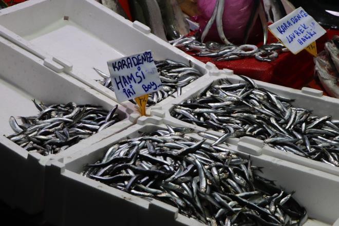 ?BZ DE BU KARARI MEMNUNYETLE KARILIYORUZ?  Perembe Balklar Birlii Kooperatif Bakan nal Karadeniz, konuyla ilgili yapt aklamada kararn faydal olacana deinerek, ?8 Ocak tarihi itibariyle tm Karadeniz?de, boazdan Grcistan snrna kadar yasak balyor. Tabi bu yasan balama sebeplerinden birisi, devletimizin hamsi boylarnn zellikle son zamanlarda kk olmas nedeniyle yaplan aratrmalar. Tabi devletimiz bence gzel bir karar ald. Bu sene palamut bal ve hamsi iyiydi. nallah denizi koruma adna biz balklar olarak, yapacak olacak bir eyimiz yok. Her ey srdrlebilir balklk adna alnd iin biz de bu karar memnuniyetle karlyoruz. Faydas mutlaka olur, daha nce gndz hamsi tutulmamas olaynda topu biz direkten gnderdik. Trkiye?de ok byk bir sektrn uzamasna, srdrlebilir anlamada gelmesine devletimiz yardmc oldu. nanyoruz ki faydas olacaktr. Sezon bandan bu yana tombul hamsi vard ancak son zamanlarda kk hamsi bollamt? dedi.