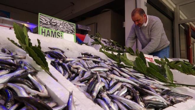 Tarm ve Orman Bakanl Balklk ve Su rnleri Genel Mdrl?nden yaplan aklamada, Karadeniz?in byk bir blmnde avlanan hamsi balklarnda yasal avlanabilir boy uzunluunun altndaki bireylerin orannda art olduu ve et verimlerinin de olduka dk olduu tespit edildii ne dikkat ekildi.    Bu kapsamda yaplan almalar neticesinde, stanbul Boaznn tamam ile Karadeniz?de stanbul li Saryer lesi Kumky Aslan Burnu?ndan Grcistan snrna kadar olan karasularda 8 Ocak 2021?den itibaren her trl av aracyla ticari amal hamsi avclnn durdurulduu belirtildi.