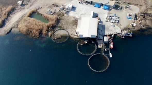 ?Havyarnn kilosu 12 bin dolar?  <br>  Balk Hastalklar Uzman Dr. Cavid Murtazavi, Mersin balnn havyarnn 12 bin dolar olduunu ifade ederek, ?Mersin bal dnyann en nemli balklarndan bir tanesidir. zellikler bunlarn havyar dnyada ok pahaldr. Kilosu yaklak 12 bin dolardr. Dnyada az bulunur nesilleri tkenme tehlikesiyle kar karya olduu iin birok lke bu balklara yatrm yapmak istiyor. Genellikle bu balklar Kuzey yarm kre ve Hazar Denizi`nde yayor. Trkiye'de de Birecik ilesinden geen Frat nehri zerinde retimi balayacak. Trkiye'de bu balklara Mersin bal deniliyor. Ama bunlarn menei Hazar Denizi`dir. nallah ad Birecik bal olur? diye konutu.