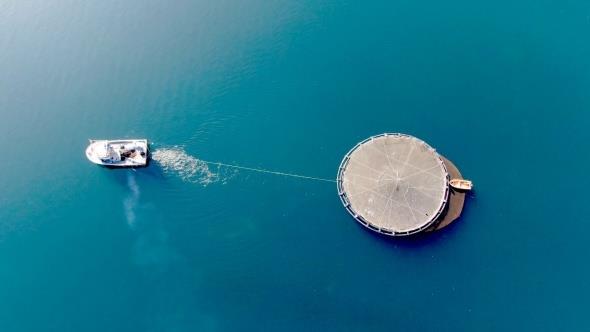 ?Mersin bal yetitireceimiz tesis ald?  Su rnleri Mhendisi Muhammet Kartal Akkaya, Mersin baln yetitirmek iin tesislerinin aldn ifade ederek, ?Uluslararas nemli bir konuydu. Tarm Bakanlmz bata olmak zere su rnleri genel mdrlmz bu konuda bize destek oldular. Trkiye'de Mersin bal yetitiricilii projemizi alm bulunmaktayz. Mersin balnn Trkiye'de olmas nemli bir milli projedir. Mersin bal dnya apnda nemsenen bir balktr. Burada daha geni alanlarda yetitirme imkan bulabiliriz. Mersin bal yetitirmek iin Tarm bakanlmzn desteiyle tesisimiz ald? dedi.