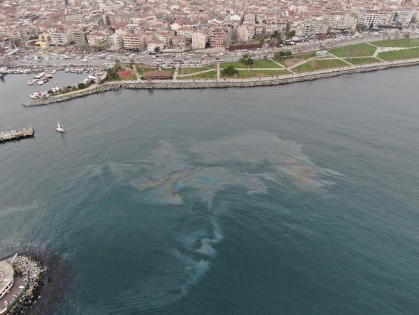 Av yasaklanan hamsinin neden kk kald tartlyor.