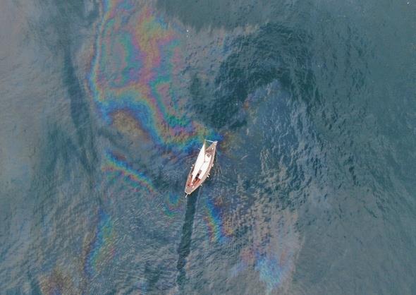 Gemilerden szan yakt kirlilii bata hamsi gibi deniz canllarn nasl tehdit ile kar karya olduunu gzler nne serdi.