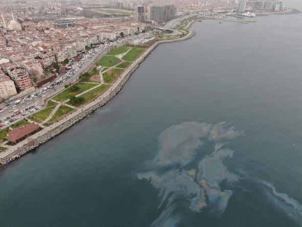 Tarm ve Orman Bakanl, Karadeniz'de avlanan hamside; yasal avlanabilir boy uzunluunun altndakilerin orannn artmas nedeniyle hamsi avna 10 gn sreyle yasak getirdi.