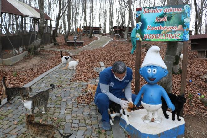 2017 ylnda alann genilii 20 dnme karld. Sokak kedileri, tesise getirilerek nce ksrlatrlp ardndan alma dnemini geirecekleri blme yerletirilip ihtiyalar karlanmaya baland.