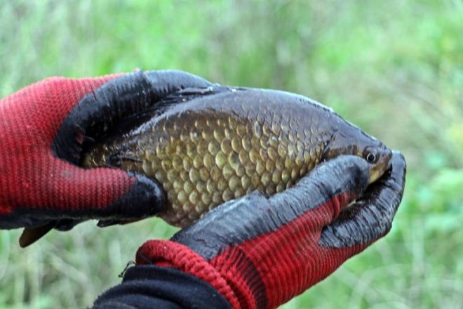 "HEPMZ ENDELYZ"  <br>  Gerekleen olayn doa katliam olduunu syleyen zgr Ataman isimli vatanda ise ?Doa katliam gerekten bununla ilgili hepimiz endieliyiz. 3-5 gndr devam eden bir konu umarm yetkililer ilgilenecekler. Bunu ilk defa gryoruz ama bunun kayna neresi tam olarak belli deil birka gndr de srd syleniyor. Bakalm bekliyoruz yani inallah bir zm retecekler. Buras mahvolmu durumda yetkililer en ksa zamanda bir zm bulacaklardr? eklinde konutu.
