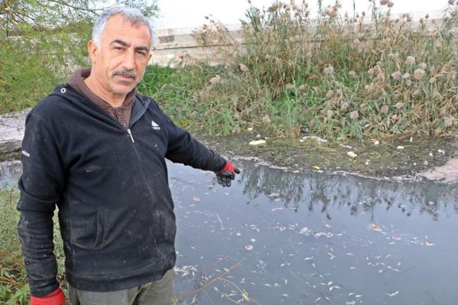 Crnk Kprs?nn bulunduu blgedeki kirli suda binlerce balk telef oldu. Crnk Kprs?nde can ekien balklarn oksijen aray kameralara yansd.