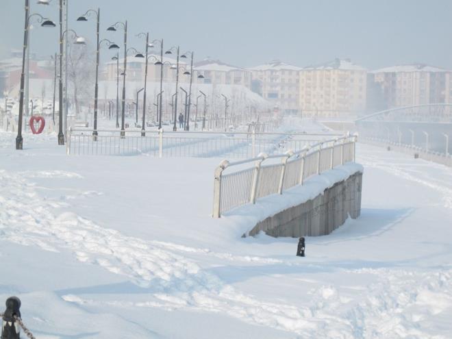 Talay Deresi'nin buz tuttuu Ar'da aalar zerinde kra olutu. Ar Belediyesi'ne bal itfaiye ekipleri de souklar nedeniyle atlarda oluan buz sarktlaryla mcadeleye balad. Kent merkezinde yayalarn youn olarak kulland caddelerde bulunan yksek katl apartman ve i yerlerinin at saaklarnda oluan buz sarktlar tek tek krld.