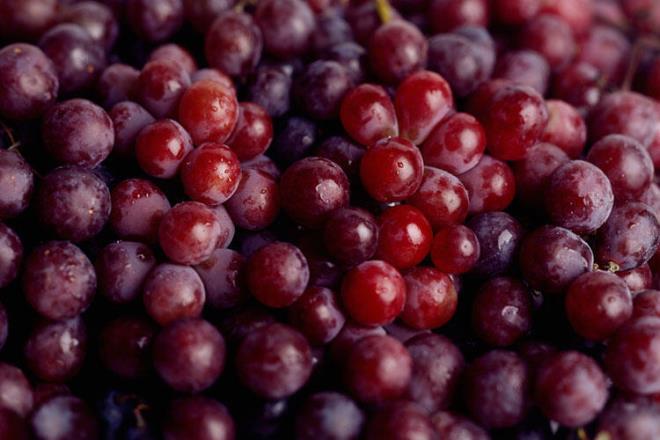 zms meyveler, Amerikan yerlilerinin souk algnl gibi enfeksiyonlar tedavi etmek iin yzyllardr kulland ifa kaynaklar nk bu meyveler antimikrobiyal zelliklere sahip ve polifenoller bakmndan da hayli zengin.