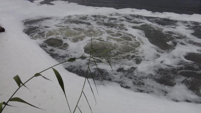Trkiye genelinde kuraklk yaayacak iller arasnda gsterilen Aydn Ovas'nn sulamasnda kullanlan Menderes Nehri'nde kirlilik orannn 4'nc dereceye kadar kmas gelecek iin endie yaratyor.