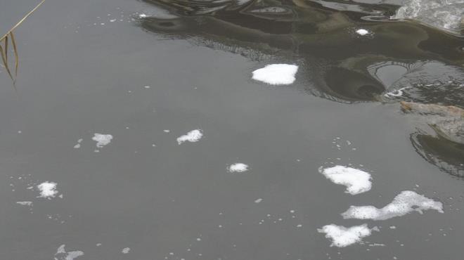 ''ECEK SU BULAMAYACAK DURUMA GELECEZ''  klim deiikliinin gelecekte susuz kalmamza neden olacana dikkat eken Nilgn Bcekli, hava kirliliinin de ekolojik dengeyi bozacan kaydetti. ?Hava ve su kirlilii tedbirlerini almazsak birka yl sonra neredeyse iecek su bulamayacak duruma geleceiz? diyen Bcekli, ?Artma tesisleri doru altrlamyor. Buralardan kan atk sularn, doru artlarak tekrar tarm alanlarnda kullanlmas gerekmektedir. Trkiye'deki tatl su kaynaklarnn yzde 70'i tarm sulamada, yzde 15'i endstriyel tesislerde, geriye kalan yzde 15'i de bireysel alanlarda kullanlmaktadr. Atk metotlar, Trkiye'de neredeyse birok belediyede kullanlmyor. Bununla ilgili evre ve ehircilik Bakanl, Tarm ve Orman Bakanl ile belediyelerin alma yapmas gerekiyor. evre ve ehircilik Bakan Veysel Erolu dneminde Aydn'a 13 baraj kazandrld. Bununla ilgili yamur suyu hasatlarnn yaplmas gerekiyor'' eklinde konutu.