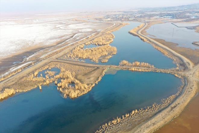 "Trkiye'nin ats" olarak nitelendirilen 5 bin 137 metre yksekliindeki Ar Da'nn etekleri, kn da gmen kular arlyor.    Sahip olduu 88 bin hektar alanyla nemli yaban hayat merkezlerinden olan ve Trkiye'nin en byk milli park olma zelliini tayan Ar Da Milli Park, yln her aynda birbirinden farkl kulara ev sahiplii yapyor.