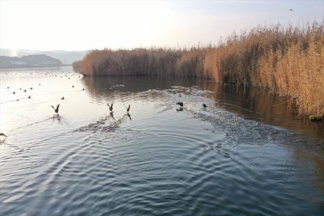 Her mevsimde farkl ku trlerini arlayan milli park, hava scaklnn sfrn altnda 10 dereceye kadar dt k mevsiminde de birbirinden farkl trler iin yaam alan oluyor. Milli park, yaz aylarnda olduu gibi k aylarnda da blgede k geirmeye gelen kularla renklendi.