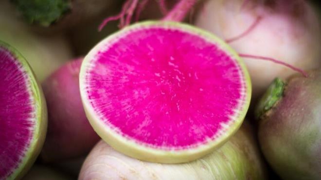 Krmz, siyah ve beyaz olarak turplar renklerine gre snflandrlabilir. En az turp kadar faydal olan turpun yapraklardr. zellikle kalsiyum ierii olduka yksektir. Kemik erimesi olan bireylerin tketmesi nerilir. Yallarda genellikle kabzlk ikayeti de grldnden hem lif ierii yksek olmas, hem de yksek kalsiyum iermesinden dolay turp ve turp yapra ok iyi bir tercih olacaktr.