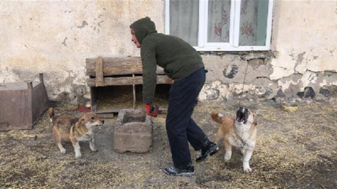 Emre Salgar, hayvan sevgisinin kk yalarda baladn belirterek, "Ku ve kpek derken cins horoz, tavuk, kaz ve atla devam etti. Sokakta aresiz kalan hayvanlar alp evimin bahesinde bakyorum.