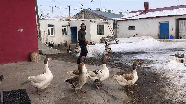 Merkez Cumhuriyet Ortaokulu'nun 8'inci snf rencisi olan Emre Salgar, kendisi gibi hayvansever olan babas Nihat Salgar?n da destei ile evin bahesini hayvanat bahesine evirdi.
