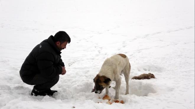 SICAKLIK -20 DERECE  Eksi 20 derece olan dondurucu soukta kpek, zaman zaman yavrusunu yalad, kimi zaman da ba ucuna yatan kpek, mahalleliyi de duygulandrd. Yavrusunun bandan bir an olsun ayrlmayan kpek iin mahalleden bazlar yiyecek brakt. Eksi 20 derece olan dondurucu soukta kpek, zaman zaman yavrusunu yalad, kimi zaman da ba ucuna yatan kpek, mahalleliyi de duygulandrd.