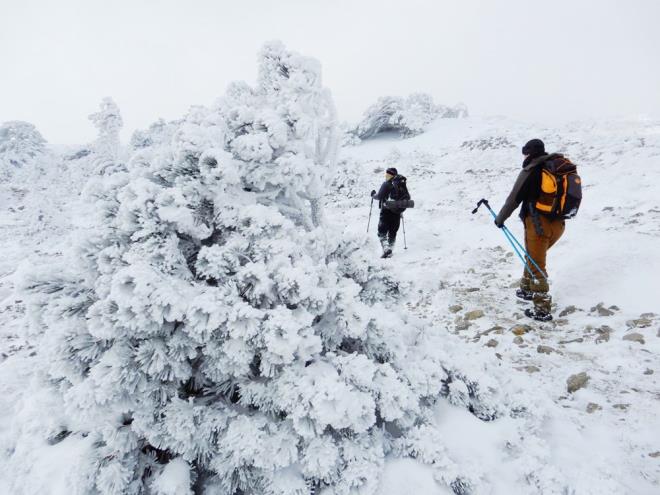 Fauna ve florasyla Trkiye?nin nemli blgelerinde olan Kazdalar, yaz-k doa tutkunlarn arlamaya devam ediyor.