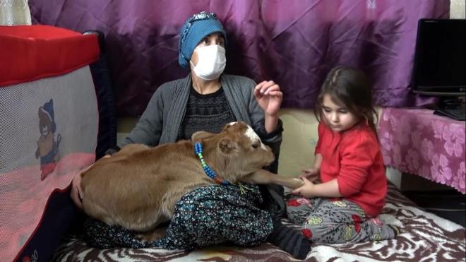 Geceleri buza mesin diye sobay yakyorum. Gece uyannca altn bezleyip, st iiriyorum. Bir haftadr bizimle evde yayor. Biraz daha iyi olduunu syleyebilirim.