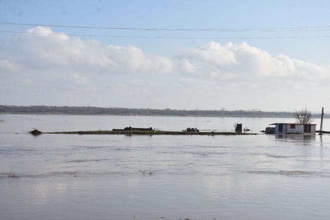 FTLER MEMNUN  Uzunkpr'de iftilik yapan Bedri Grsoy, Ergene Nehri'nin tamasyla arazilerinin sular altnda kaldn belirterek, "Sular altnda kalmas aslnda problem deil bizim iin nk mil brakyor. Toprak yenileniyor bir taraftan. Zaten Ergene Havzas'nn da zellii budur. Takn olduu zaman mil brakr ve bir dahaki seneye toprak kendini yeniler. Kirlilik tabii ki var. Devletimiz nlem almaya alyor ama zaman alyor. nallah bu sene daha iyi olur. Geen sene kuraklktan dolay biraz etkilendik. Baz blgeler daha fazla etkilendi. Biz blgemizi akmak Baraj'ndan aldmz sudan suladmz iin daha iyiydi ve kaliteli rn kt. Bu sene barajlar dolu, daha temiz. Daha gzel rnler olacak herhalde. Verim olarak eltii yukar tamamz lazm. Kald ki su temiz olduu zaman verim ykseliyor. Dekar ba verimimiz ortalama 600 kilogramda 1 tona kadar kyor" dedi.