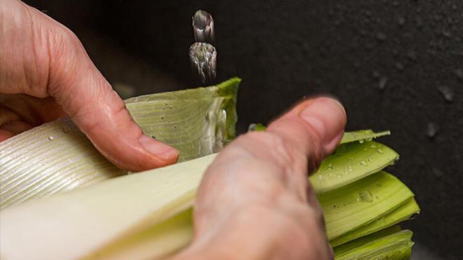 Prasa sebzesi, zambakgiller familyasndan gelmektedir. Prasa, Akdeniz ikliminde yetien bir besin kaynadr. Her mevsim yetime zelliine de sahiptir ancak k aylarnda yetien nemli bir sebze olarak bilir ve daha ok tketiriz.