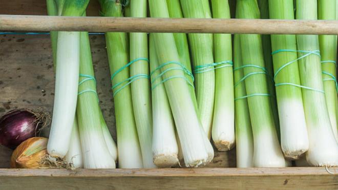 Dzenli prasa tketimi vitamin ve mineral dengesini korumada yardmcdr. C vitamini yaralarn iyilemesi ve kolajen retimi iin olduka nemlidir. Piridoksin (B6) fiziksel gce dayal aktivitelerde ihtiya duyulan enerjiyi aa kartr.