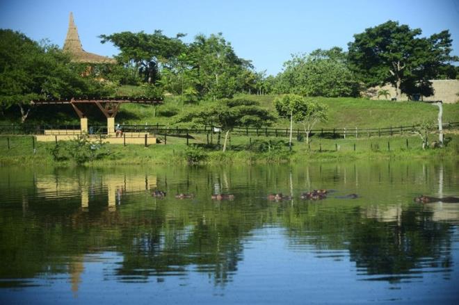 Bununla birlikte su aygrlar, Kolombiya?nn en verimli topraklarna sahip kentlerinden ile bakent Bogot arasndaki oalyor ve Rio Magdalena nehri yaknlarnda yayorlar. Bilim insanlar, hayvanlarn gnn ounu gllerde, nehirde ve geceleri sonsuz otlaklarda otlayarak geirdiini syledi.  Ayrca Afrika?nn aksine, Kolombiya'da su aygrlarn avlayacak bir hayvann bulunmad belirtildi.