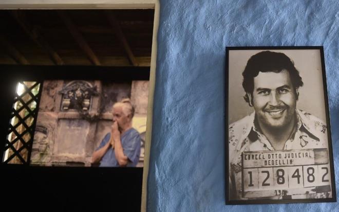 Kolombiyal uyuturucu baronu Pablo Escobar, 1980'lerde dnyann en byk uyuturucu imparatorluunu kurduu 20 kilometrekarelik zel mlki Hacienda Npoles?de su aygrlar, kangurular, zrafalar, aslanlar, filler ve dier egzotik hayvanlardan oluan zel bir hayvanat bahesi kurdu.