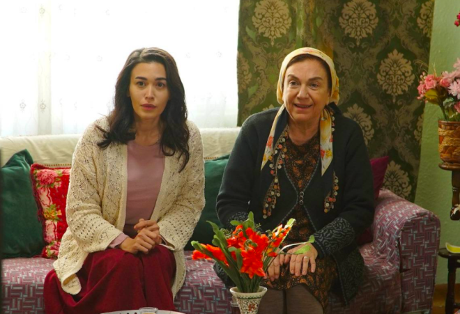 2012 ylnda Fox TV'de yaynlanan Zengin Kz Fakir Olan dizisinde Ufuk zkan ile barol paylam, 2016 ylnda Hayat arks dizinde oynamtr. Son olarak 2018 ylnda yaynlanan Can krklklar adl dizide Aysel Karada rolnde kamera karsna geti.