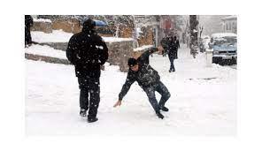 Elinize kar bastonu gibi bir destek aln.<br>    Normalde baston veya kanedyen kullanmyor olabilirsiniz, kar ve buz aparat da olan kar bastonlarn kullanmak k artlarnn zorlatrd yzeylerde dengeli bir ekilde yrmenize yardmc olacaktr. Kar bastonunu spor ve doa malzemeleri satan yerlerden alabilirsiniz.