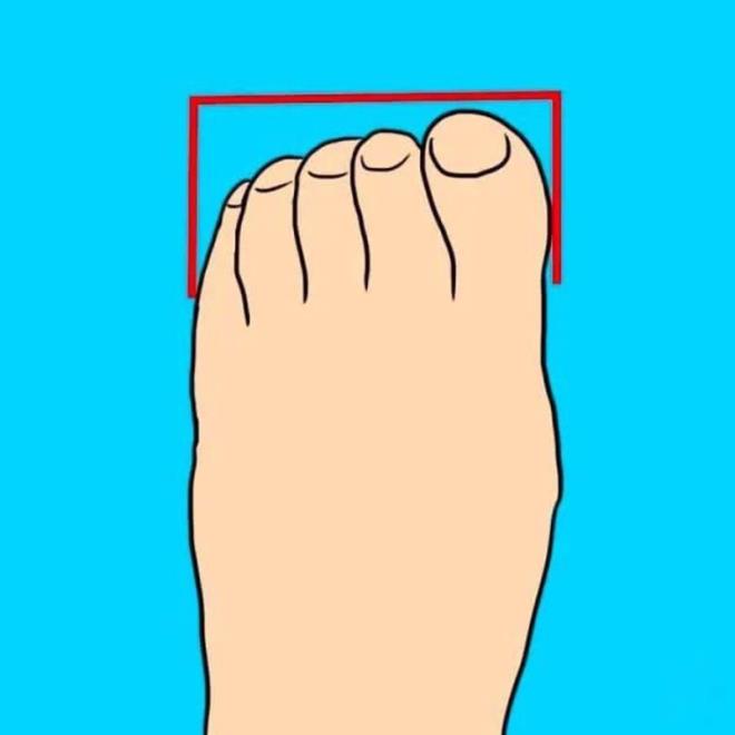 KYL AYAK PARMAKLARI  <br>    Kyl ayak parmaklar, Yunan ayak parmaklaryla hemen hemen ayn grnse bile, ayak parmaklar birazck daha uzundur. Bu zellii nedeniyle ayaklar kare eklinde grnr. Kyl ayak parmaklarna sahip olan insanlar genel olarak; ok sabrl ve muhtemelen bu dnyadaki en dnceli insanlardr. Hal byle olunca da etrafndaki kiiler tarafndan ok sevilirler. Bu kiiler herhangi bir karar almadan nce uzun sre dnrler, sorunlar ve atmalar zmek iin kesinlikle en ideal kiilerdir. Zira zm odakl, pragmatik ve doas gerei drst olan kyl ayak parmakllar, gerekten yaam iinde en deerli olanlar arasndadrlar.