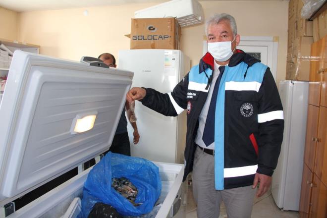 KUYRUK BAINA 5 LRA  Balklara kuyruk bana 5 lira deme yaplacak, mdrlkte derin dondurucuda saklanan kuyruklar ise bir sre sonra imha edilecek.