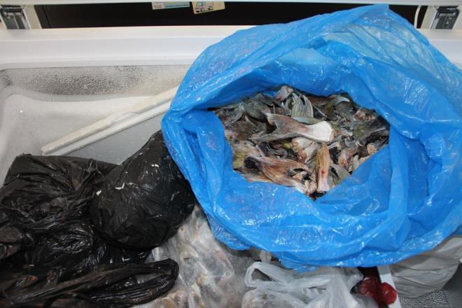 ''KAAK AVCILARA 300 BN LRAYA YAKIN CEZA KESLD''  Kurum olarak yaptklar denetimlere ilikin de bilgi veren Abal, Mersin?in Akdeniz kysnda 321 kilometre sahile sahip, denizciliin ve balkln da youn olduu bir kent olduunu syledi.